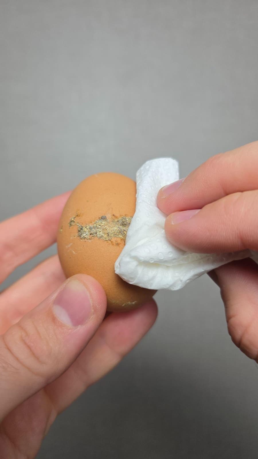 Huevos almacenados en la heladera